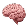 Mental Sharpness