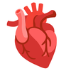 Heart Protection